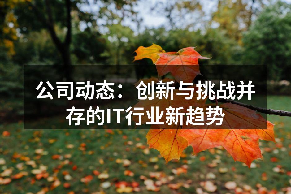 公司动态：创新与挑战并存的IT行业新趋势