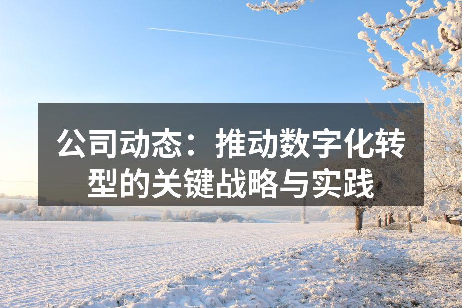 公司动态：推动数字化转型的关键战略与实践